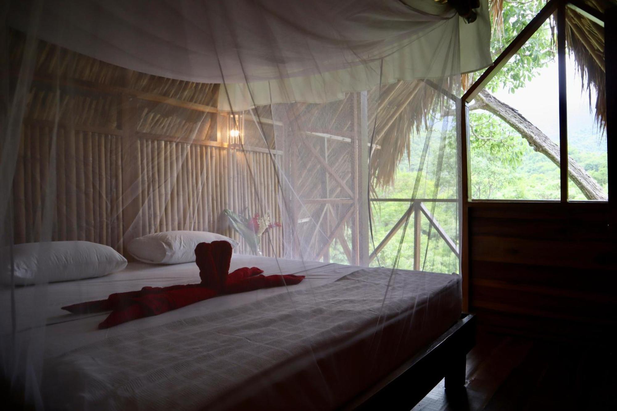 Finca Carpe Diem Ecolodge Minca Pokój zdjęcie